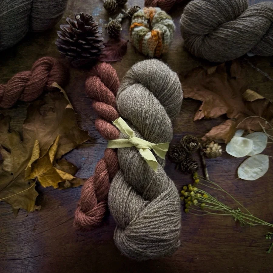 Sock sets in 4 combos, just perfect for a Socktober cast on 🍂
The base is years Limited Edition Shetland sock yarn which makes a proper wool sock 🧦 
Grown, spun &amp; naturally dyed in Wales, you don&rsquo;t need to go to far flung places to get a 