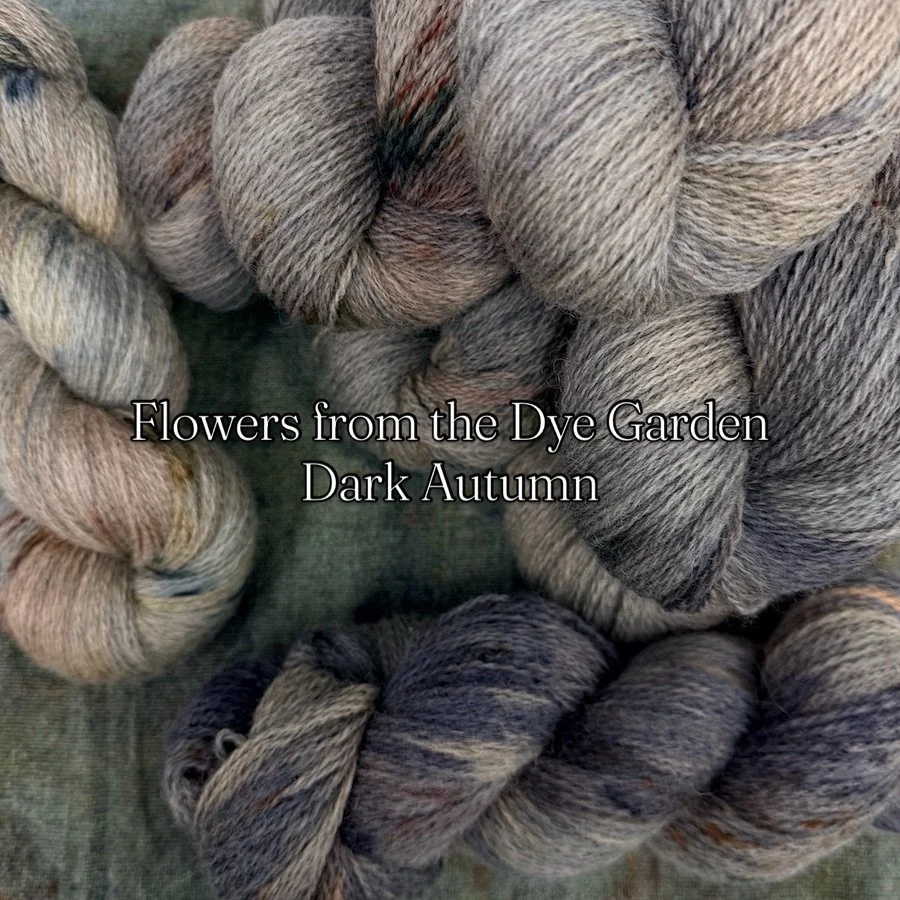 Beautiful yarn dyed with flowers gathered from my dye garden this season 🪴
I love how the colours have deepened as the season turns.
There are still flowers blooming so there maybe another small batch, but if you love it, get it while you can Hand d