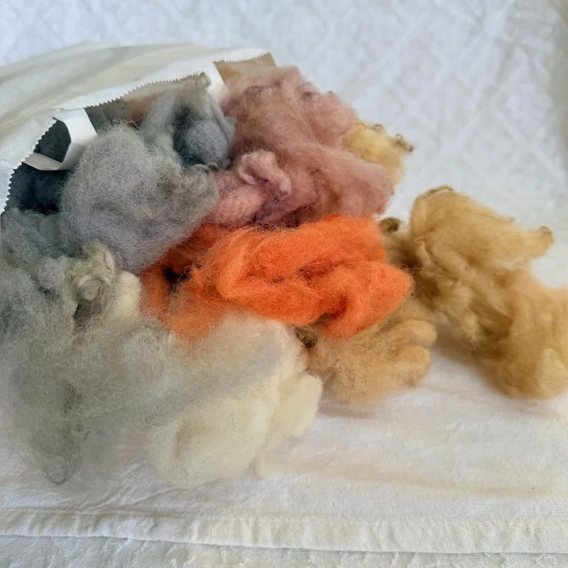 welsh_wool_fibre_nellie_and_eve1.jpeg