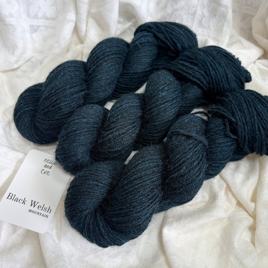 Black Welsh Mountain- DK - Darkest Midnight