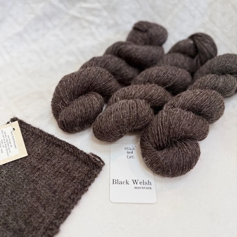 NEW Black Welsh Mountain- DK