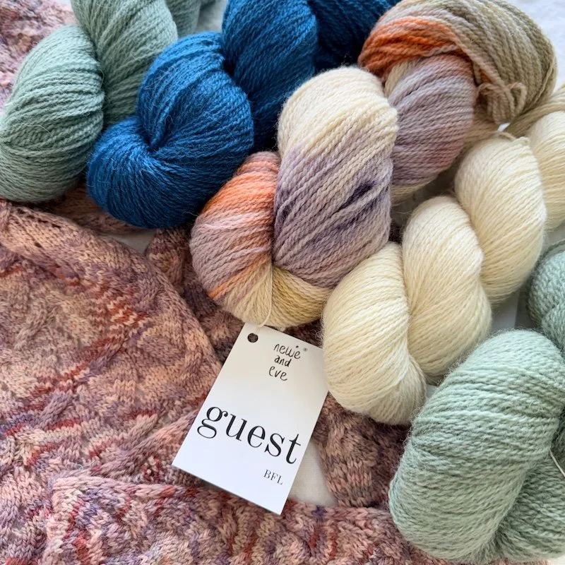 NEW Guest BFL 4ply