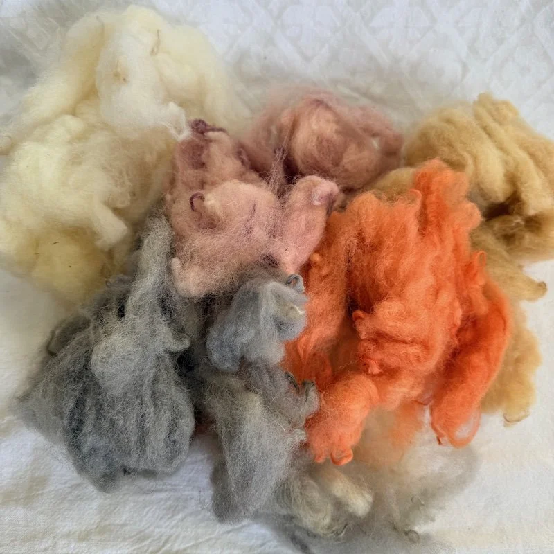 welsh_wool_fibre_nellie_and_eve2.jpeg