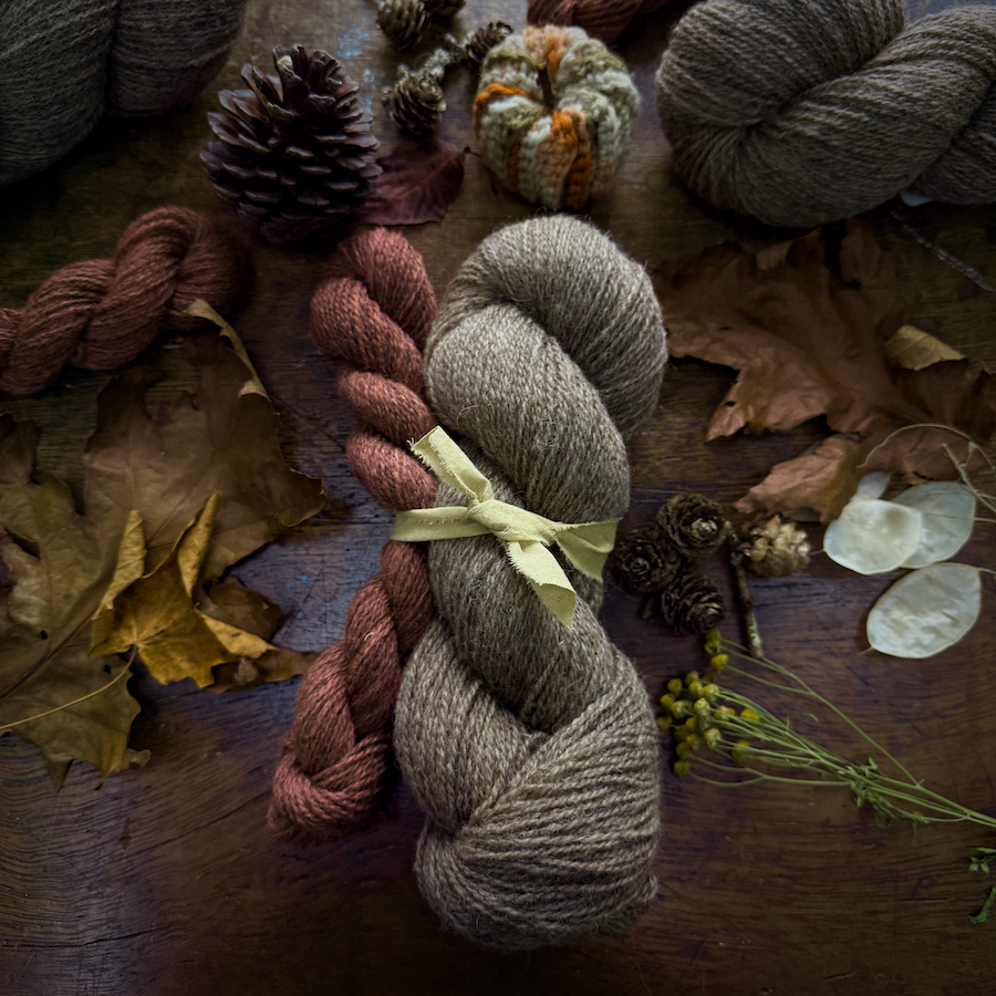Falling Autumn Leaves Sock Set