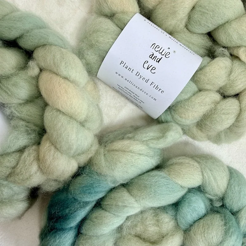 Welsh Mule Fibre Tops - Birds Egg