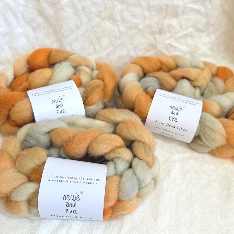 welsh_mule_wool_tops_sunset_nellie_and_eve2.jpg