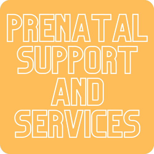 ROAMS Rural Ob Access & Maternal Services