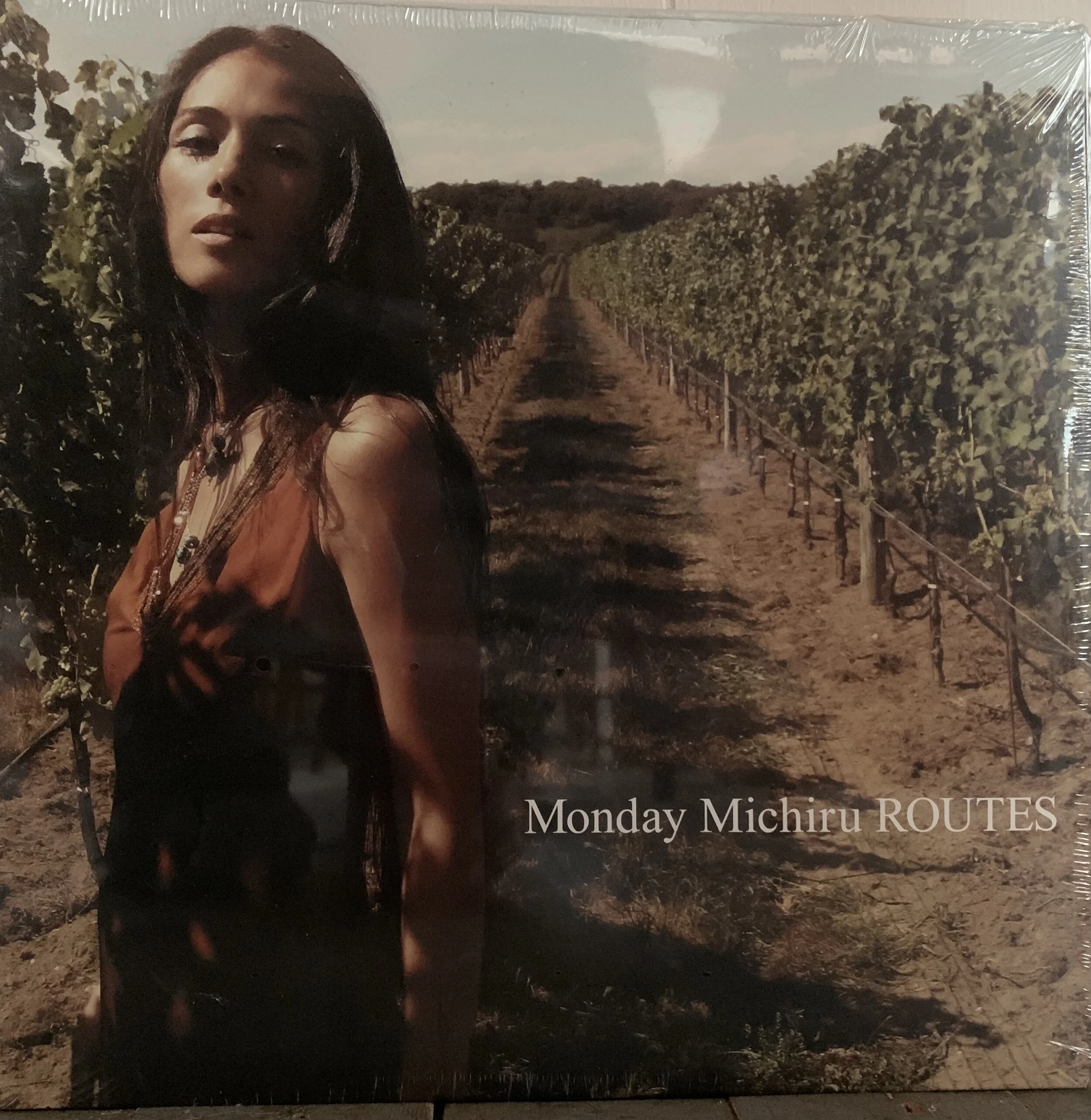 ROUTES Vinyl.JPG