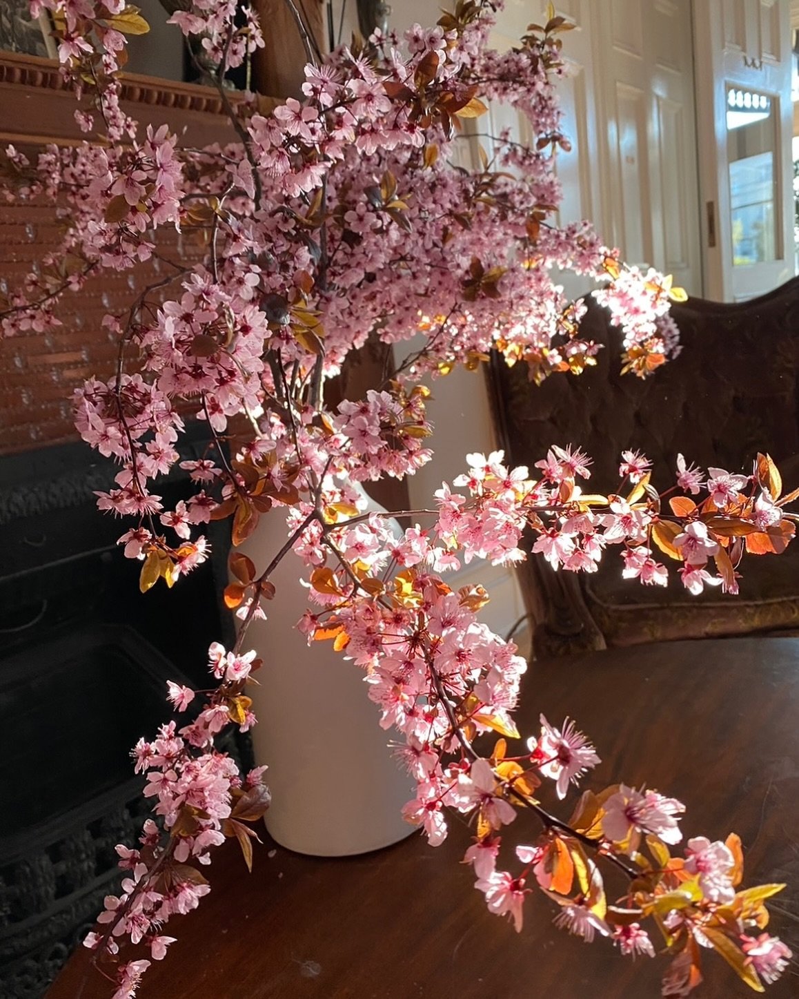 Photo from April 2020 when we covid bubbled with a few family members in the B&amp;B part of the house! I trimmed these branches off my &ldquo;birthday trees&rdquo; and decorated the house with them! The Avenues are just glorious in springtime! ☀️

#