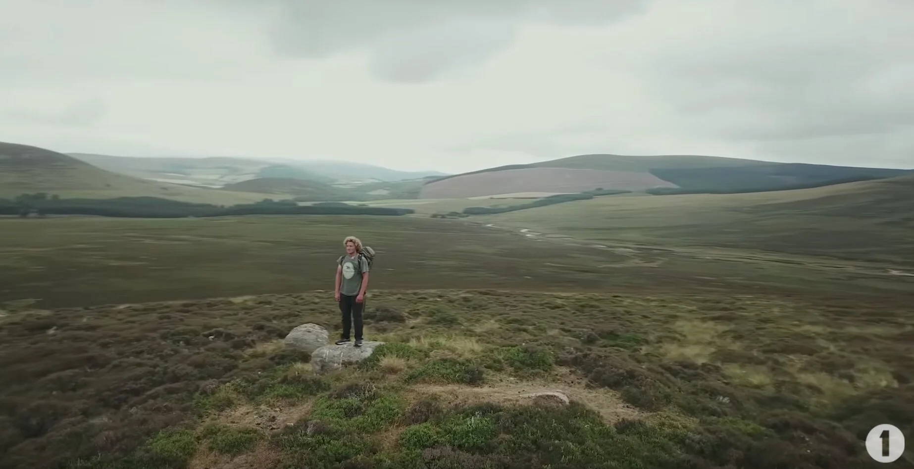 zeki screenshot.jpeg