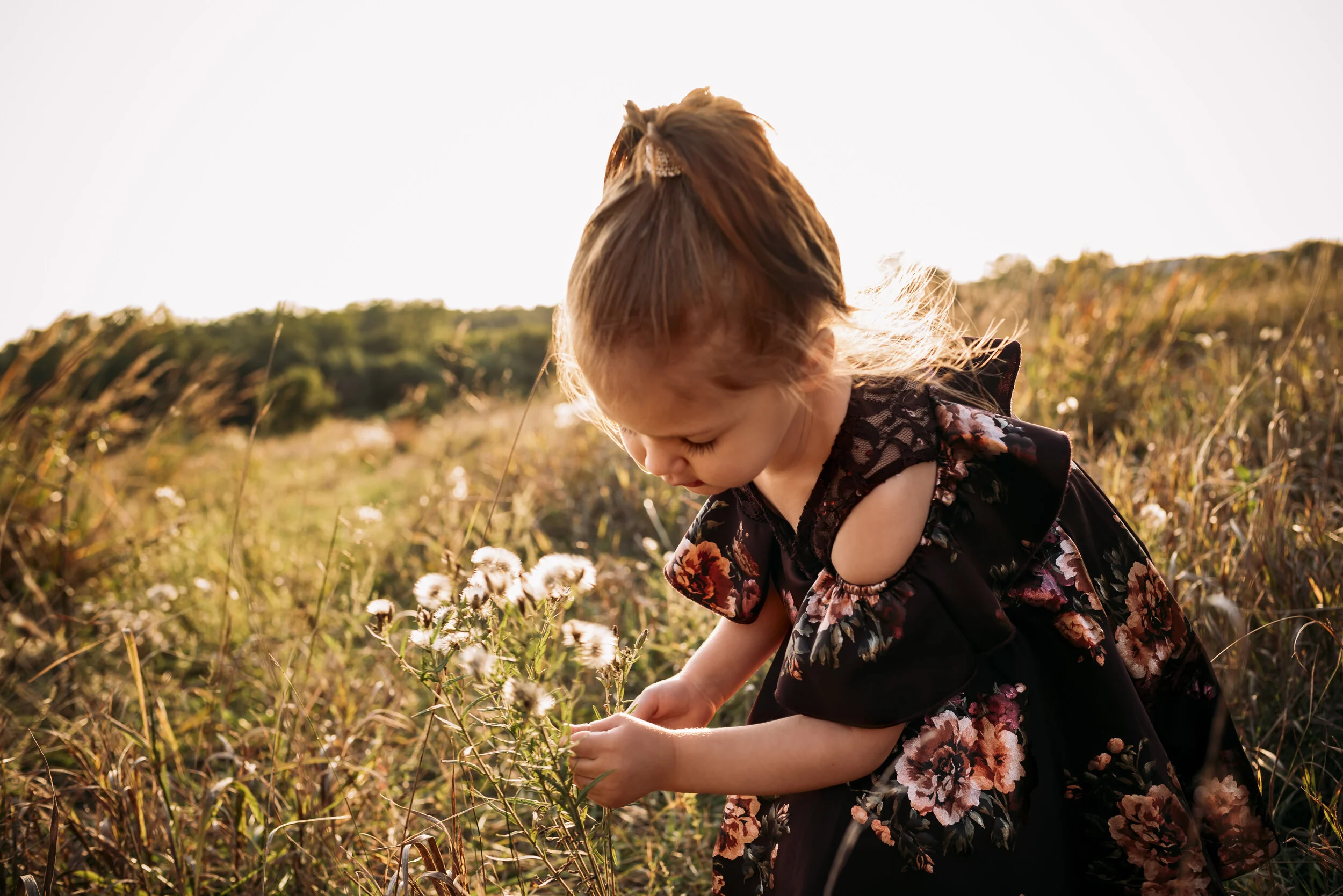 ne family photographer