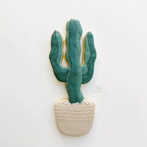 meneer cactus Cereus peruvianus monstrose - Montrose Cacti Cactus