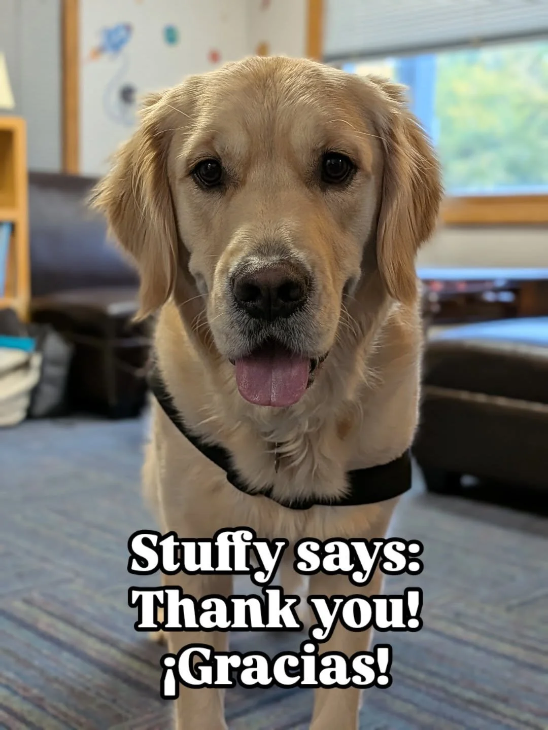 ⭐ IT'S GIVING TUESDAY ⭐

"Giving Tuesday is giving me all the feels. Because of you, CornerHouse was able to hire me and now I'm living my best life providing support and comfort to families in crisis" - Stuffy 

You can continue to help su