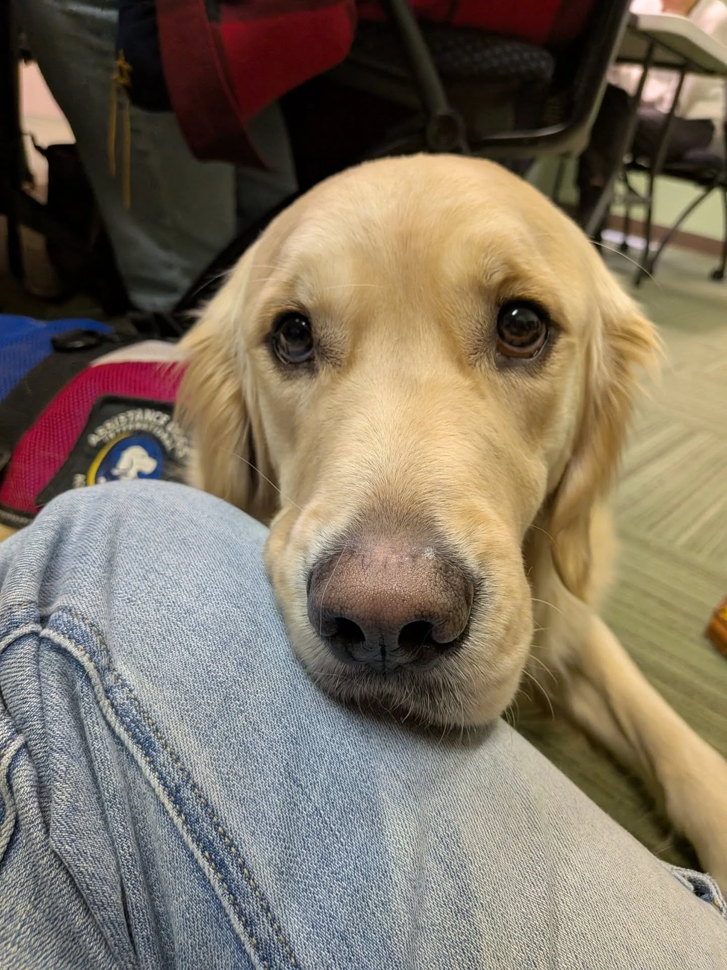 Stuffy sabe que las cosas est&aacute;n dif&iacute;ciles ahora mismo. &Eacute;l quiere que sepas que eres importante, sin importar de d&oacute;nde vengas ni el color de tu piel.

 Stuffy knows things are hard right now. He wants you to know that YOU M