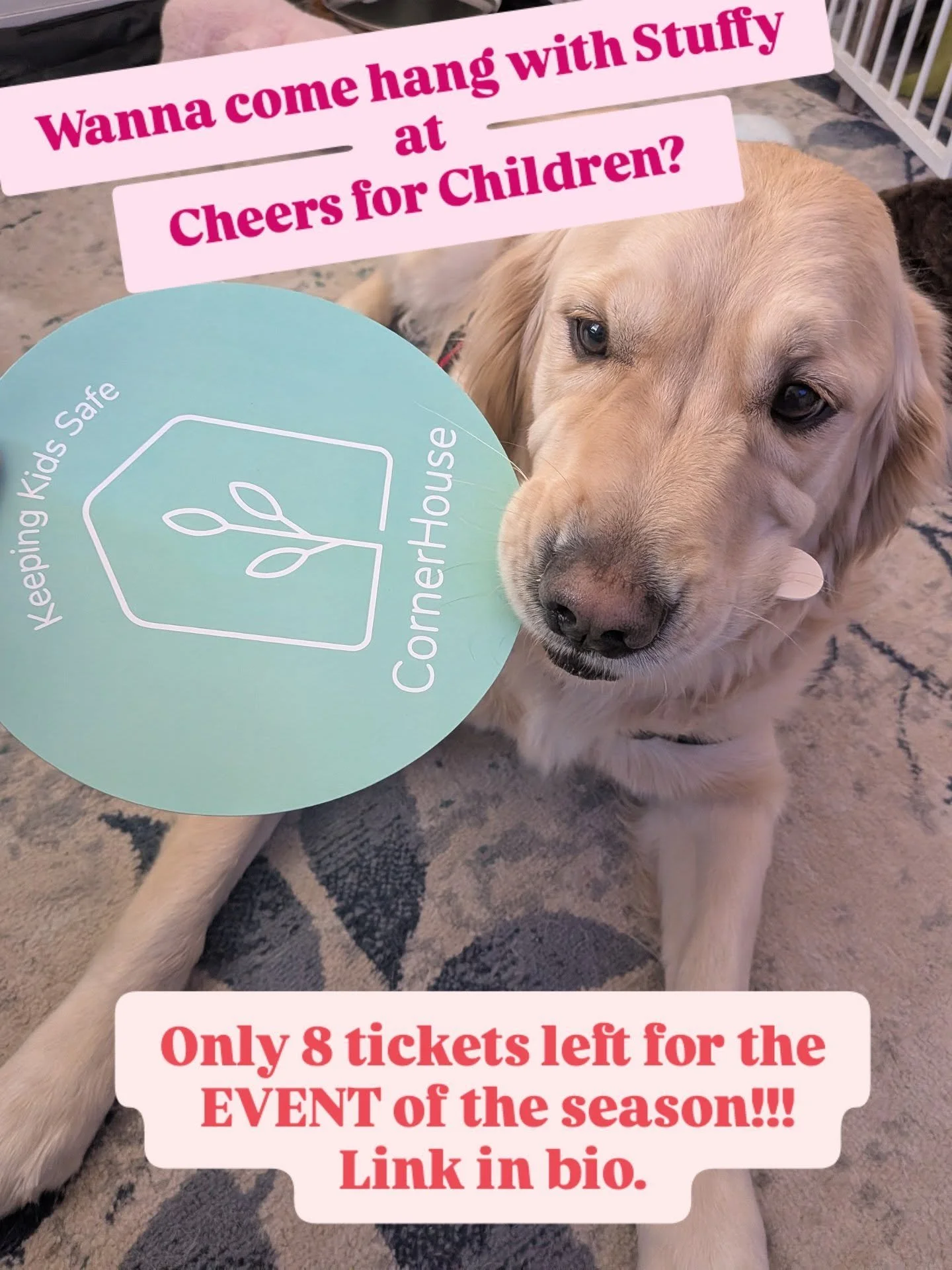 Come and hang with the best pup in the whole world.