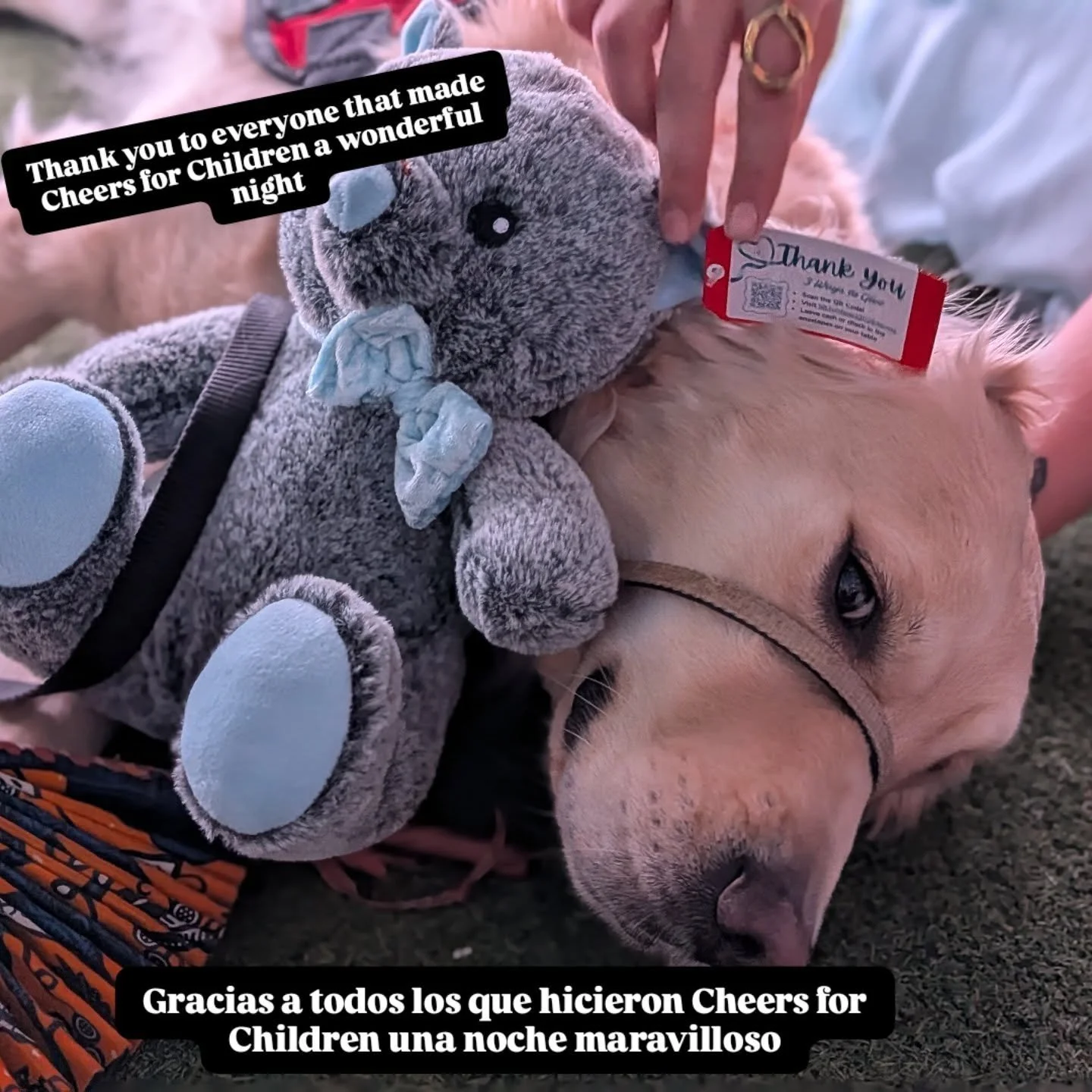 We appreciate each and everyone of you. ❤️❤️❤️❤️. 

Apreciamos a cada uno de ustedes ❤️❤️❤️❤️

#facilitydog #wearblue #graditude #goldenretriever #childabuseawareness