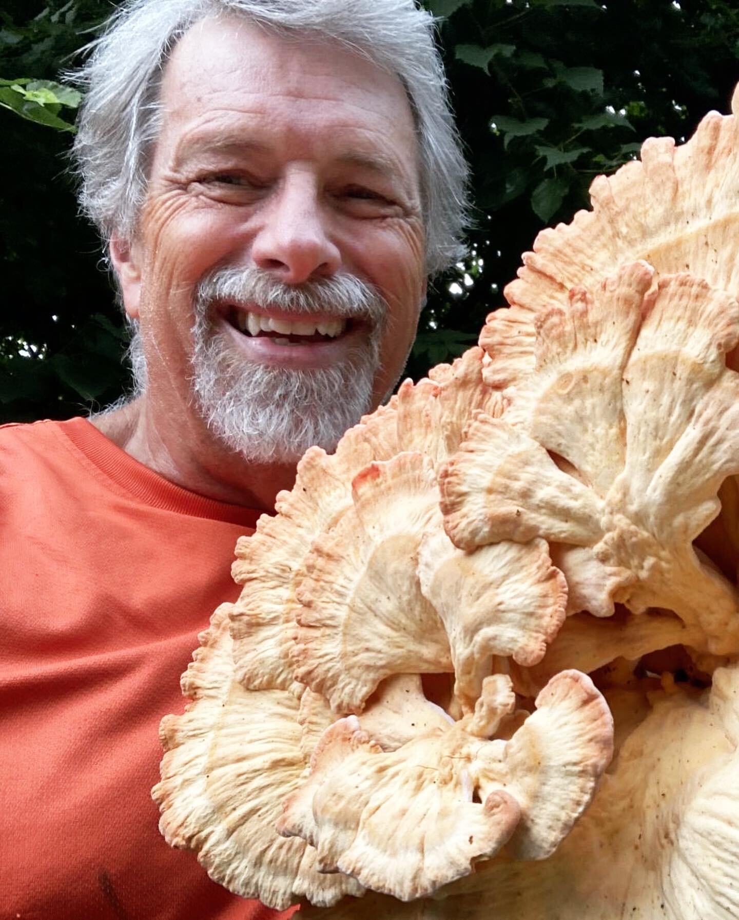 Workshop announcement!
🍄🍄🍄
Frank Hyman, a local author (and veritable celebrity) hosts two sessions of &ldquo;How to Forage for Mushrooms Without Dying&rdquo; at @downyonderfarm on Saturday, September 30th.

If you&rsquo;ve been at all interested 