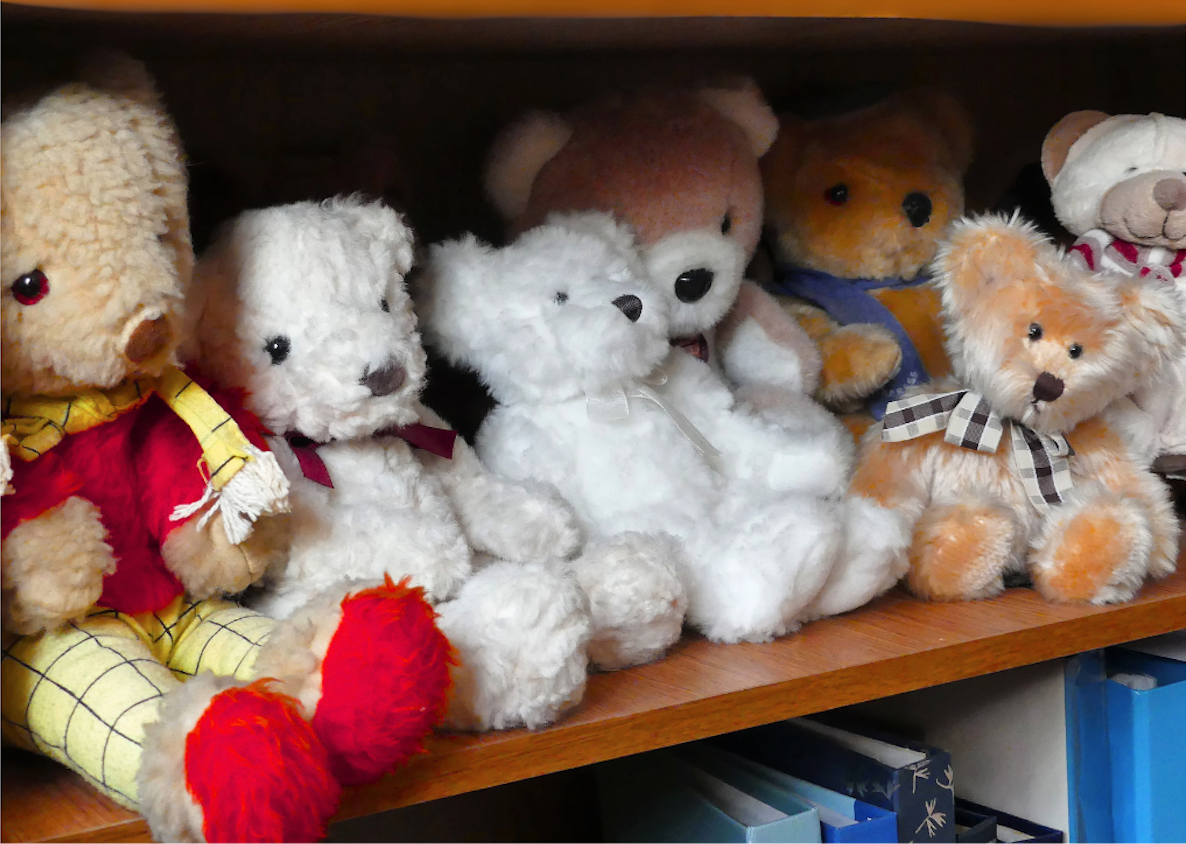 Teddy Bear Collection