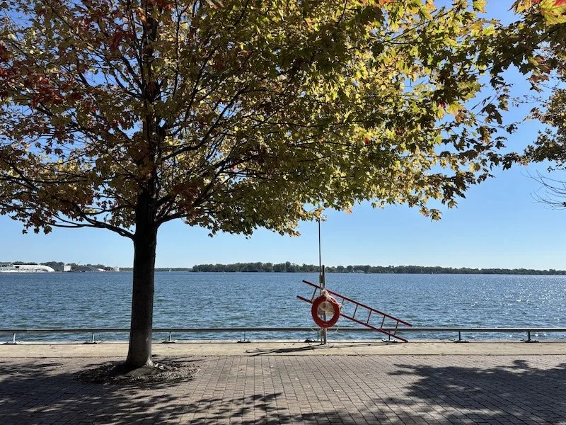 Toronto Lakeshore - BI web size.JPG