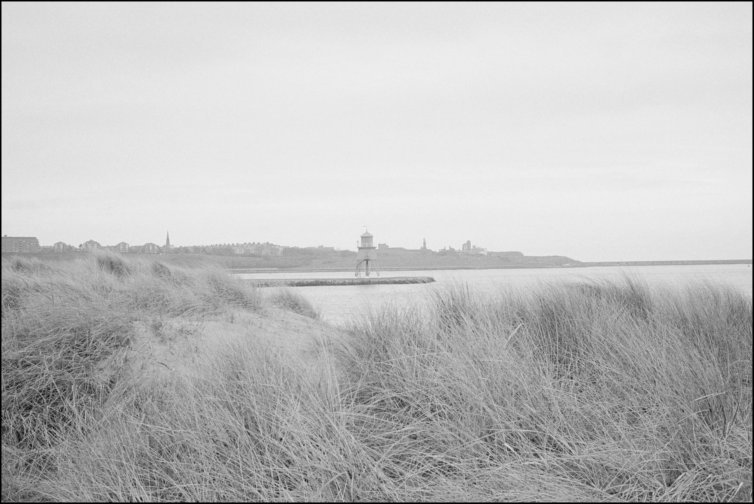 Cotton Candy Land-46.JPG