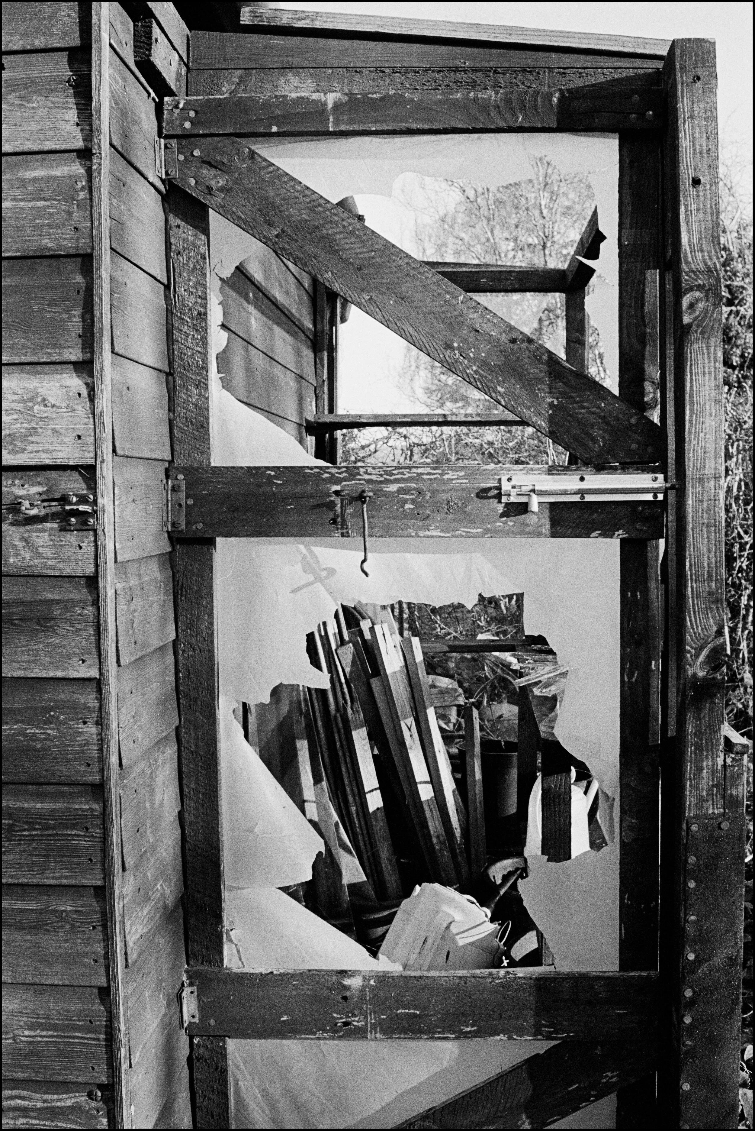 Cotton Candy Land-63.JPG