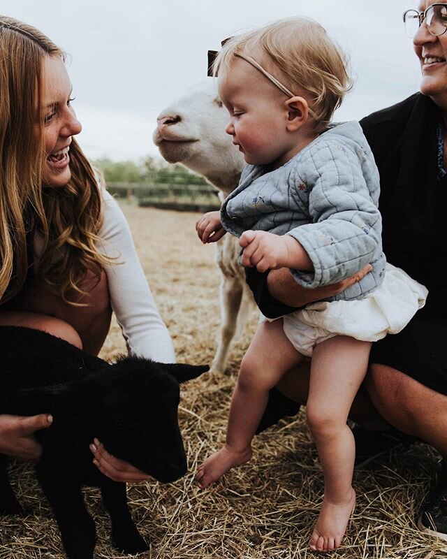 Granny&rsquo;s funny farm ft. my darling lil nieces. ⁣
⁣
Pictured: a few of my fave gals. Not pictured: the newest gal (my baby niece Goldie) who joined the clan a bit over a week ago. ⁣
⁣
Life&rsquo;s been feeling a whole lot of crazy lately, but it