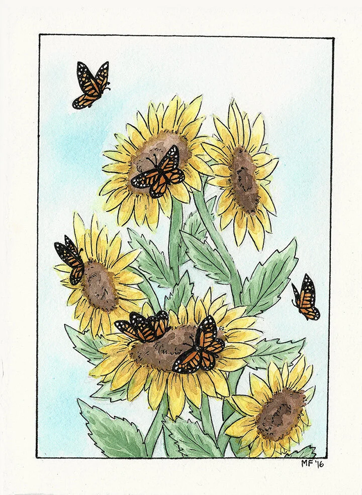 Monarch Sunflower
