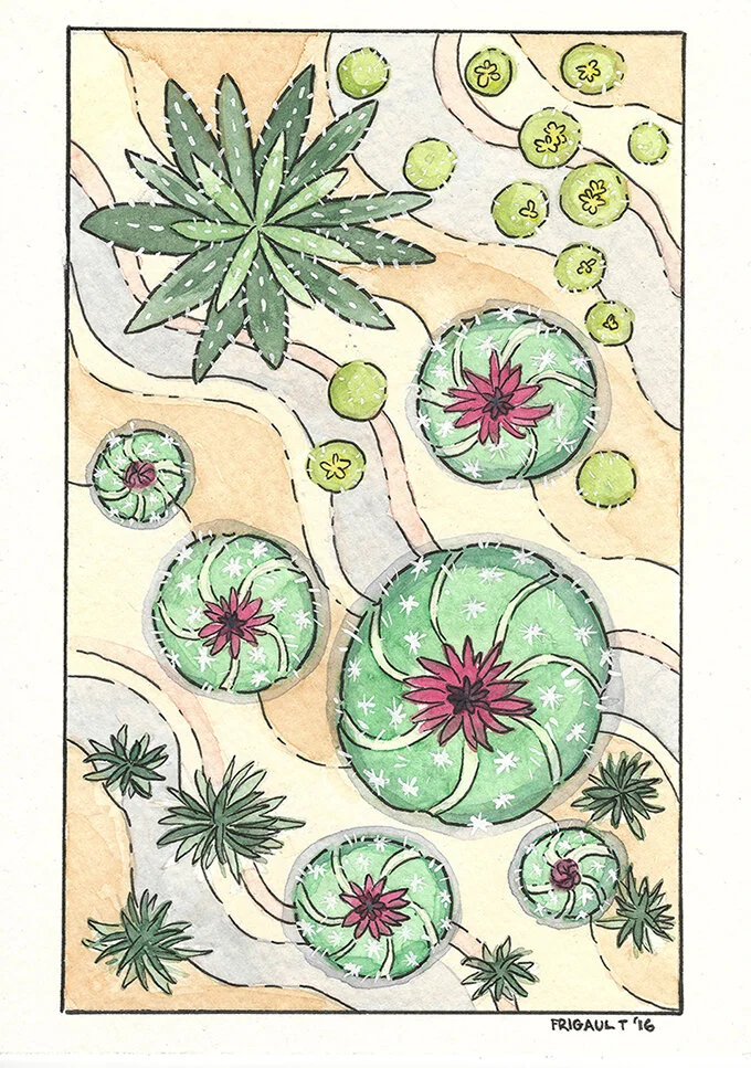 Into the Desert - Dunes