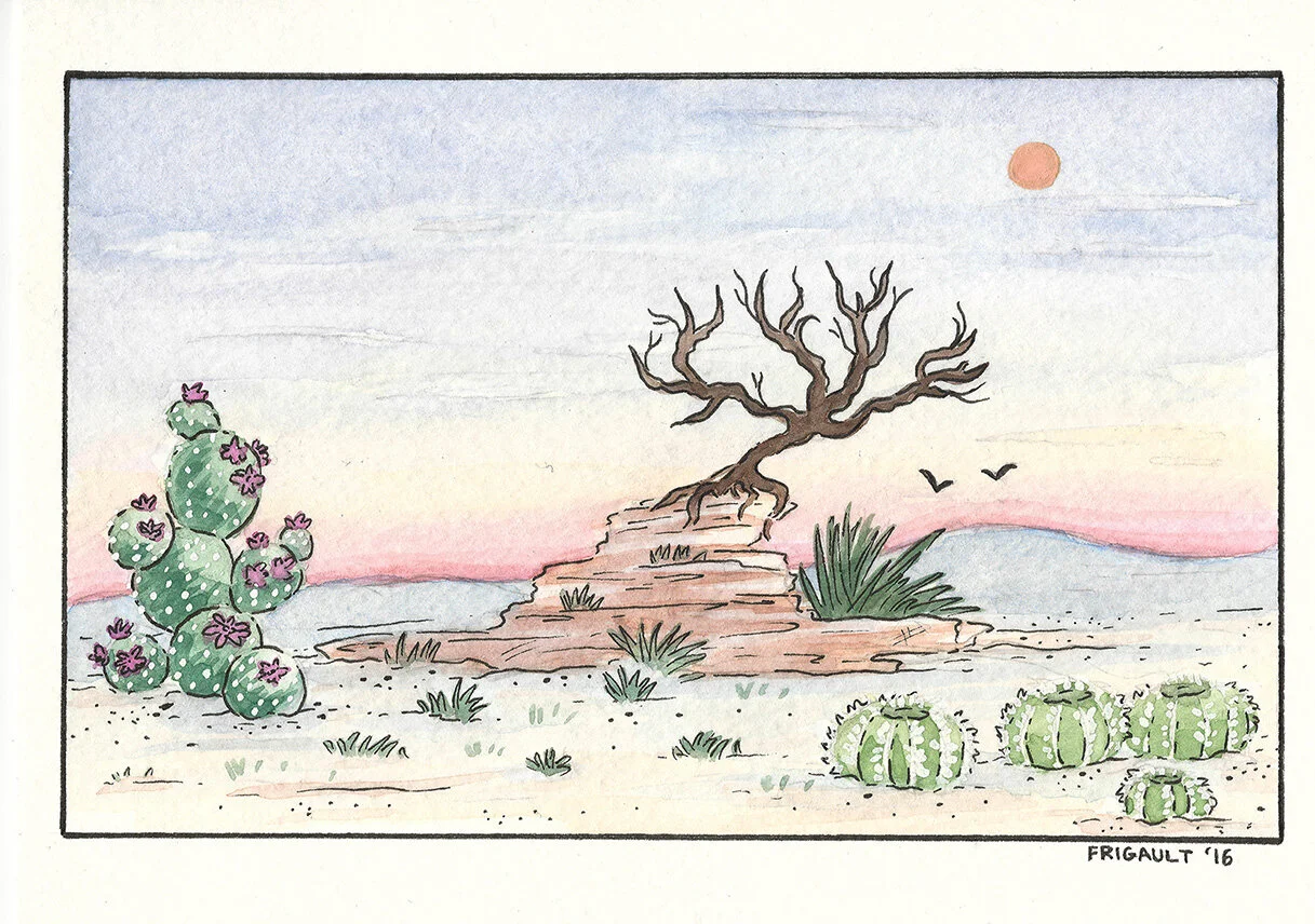 Into the Desert - Magic Hour