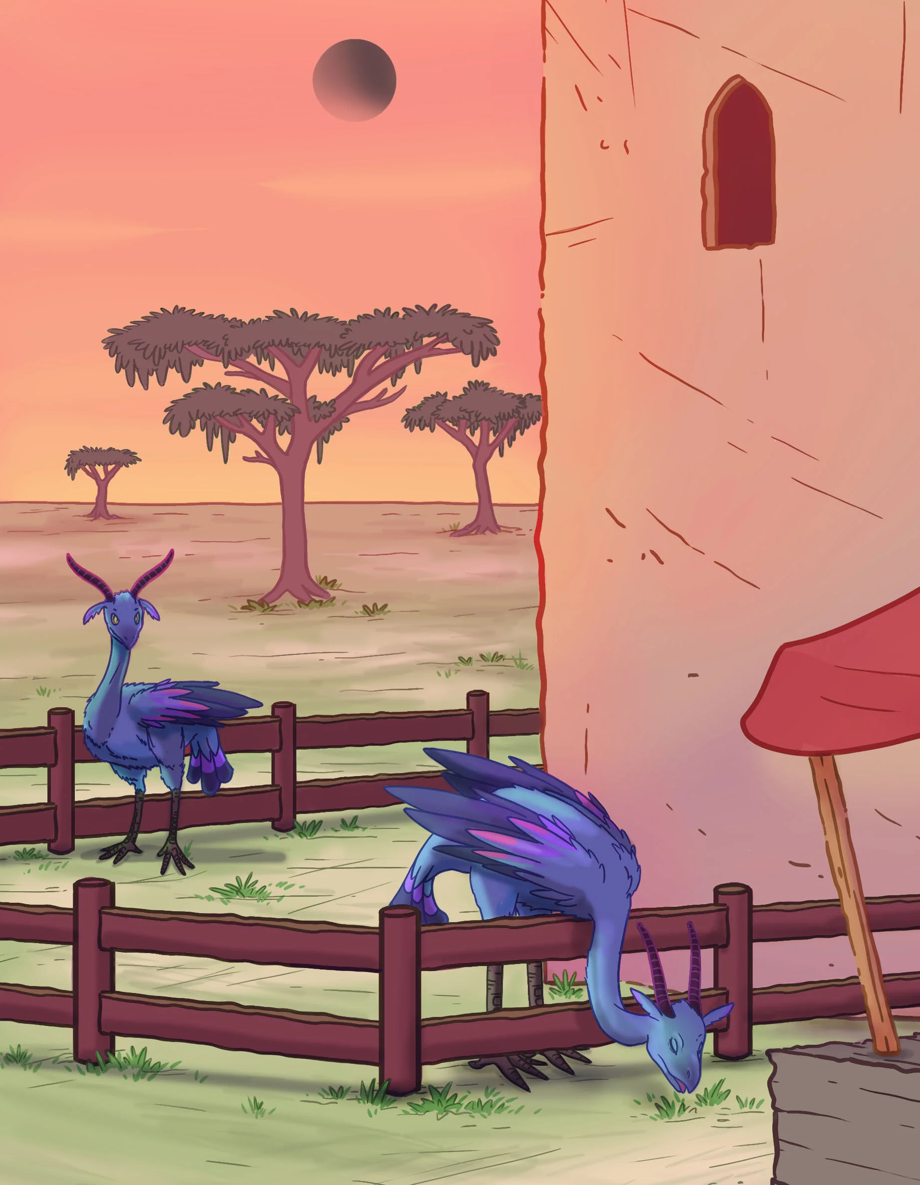 PlayersMarket  D.jpg