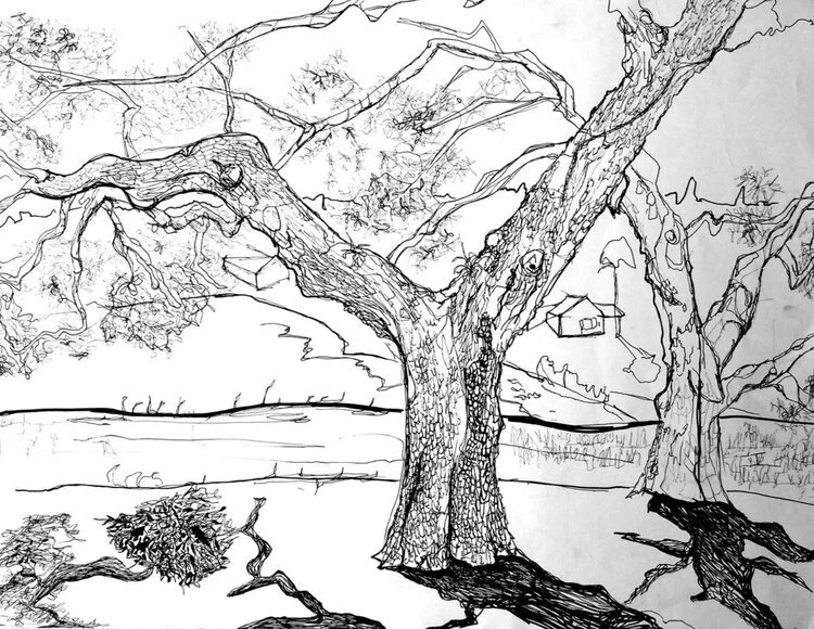 Student Work - INK DRAWING