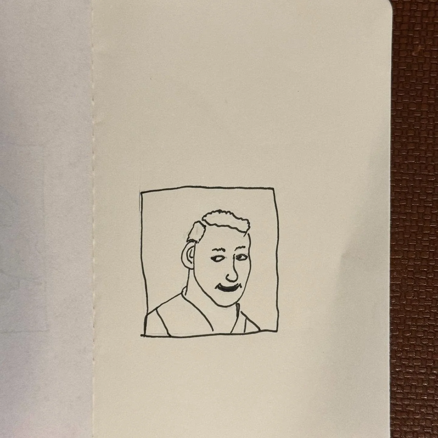 Days 94 and 95 of my 100 day project. #dothe100dayproject #100daysoffaces #100dayproject2025