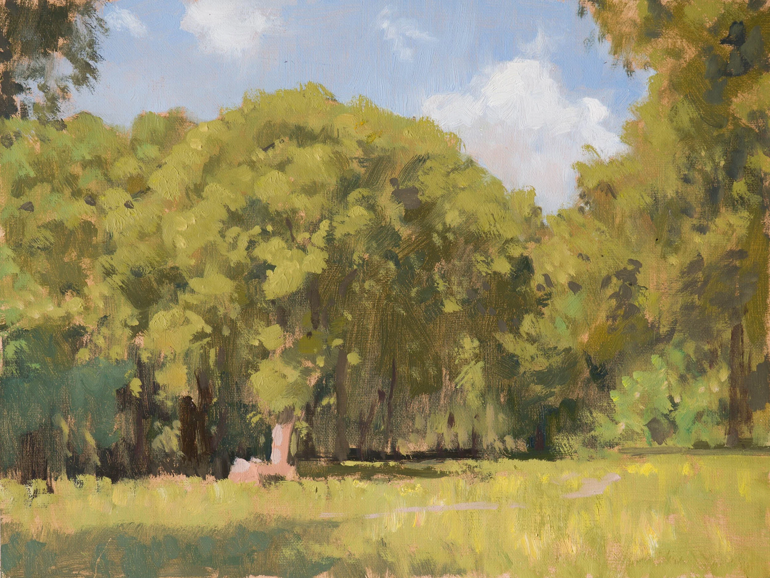15.%20Morning%20Tree%20Demo.jpg