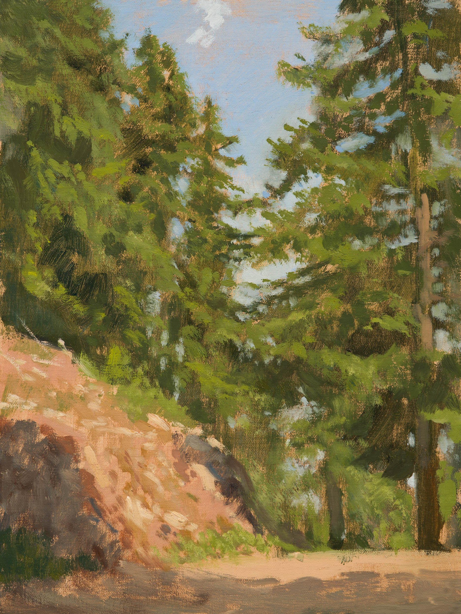 34.%20Path%20through%20the%20Alpine%20Forest.jpg