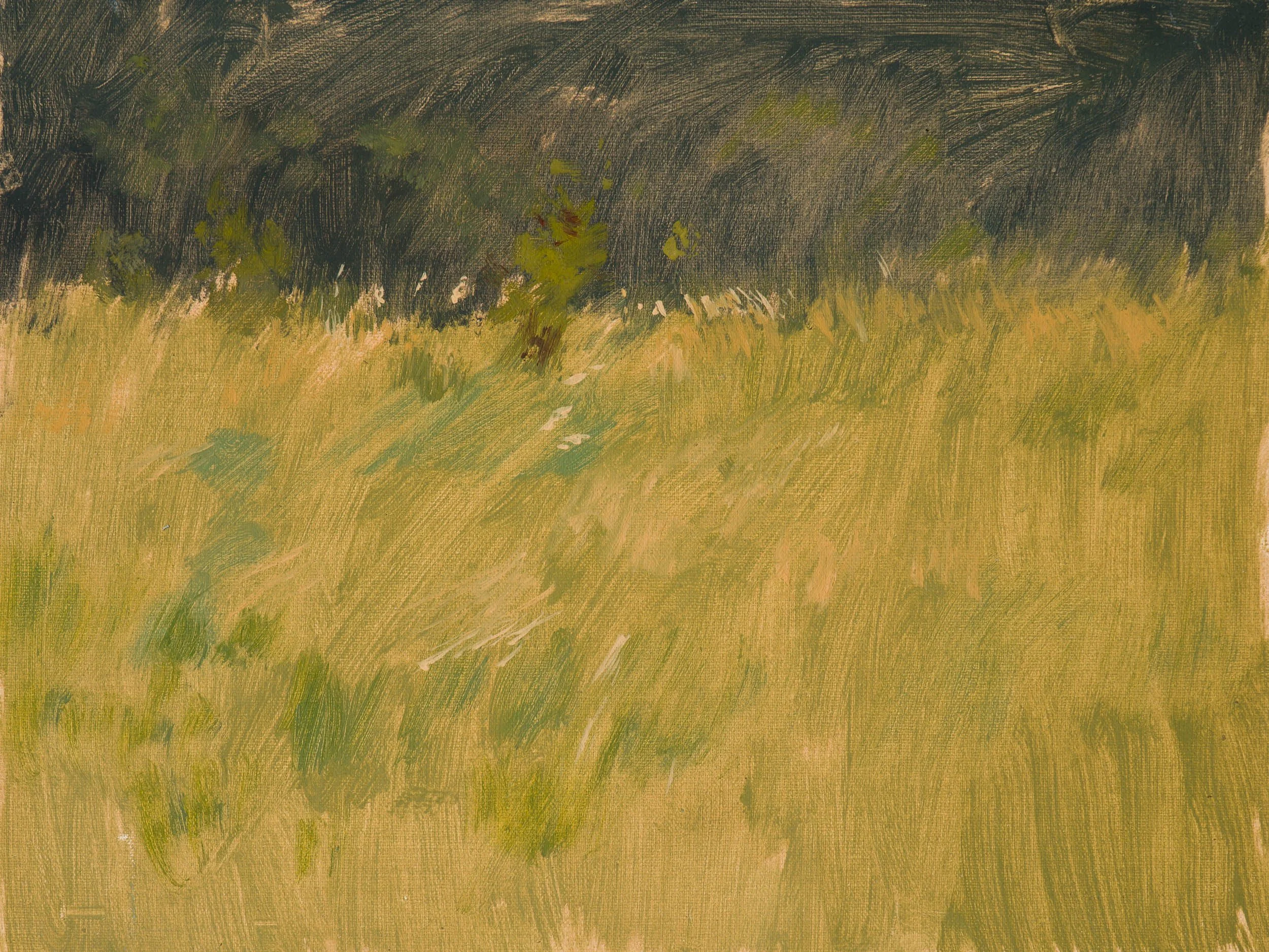 37.%20Long%20Grass.jpg