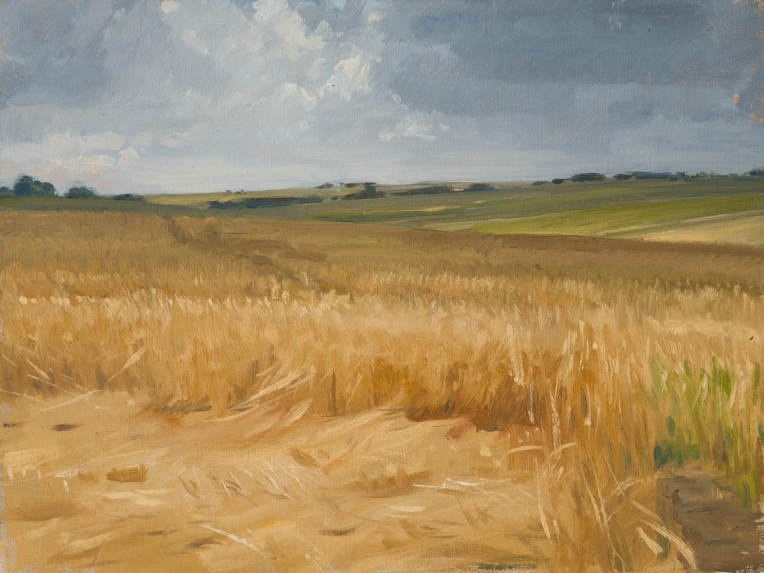 51.%20A%20Sea%20of%20Barley.jpg