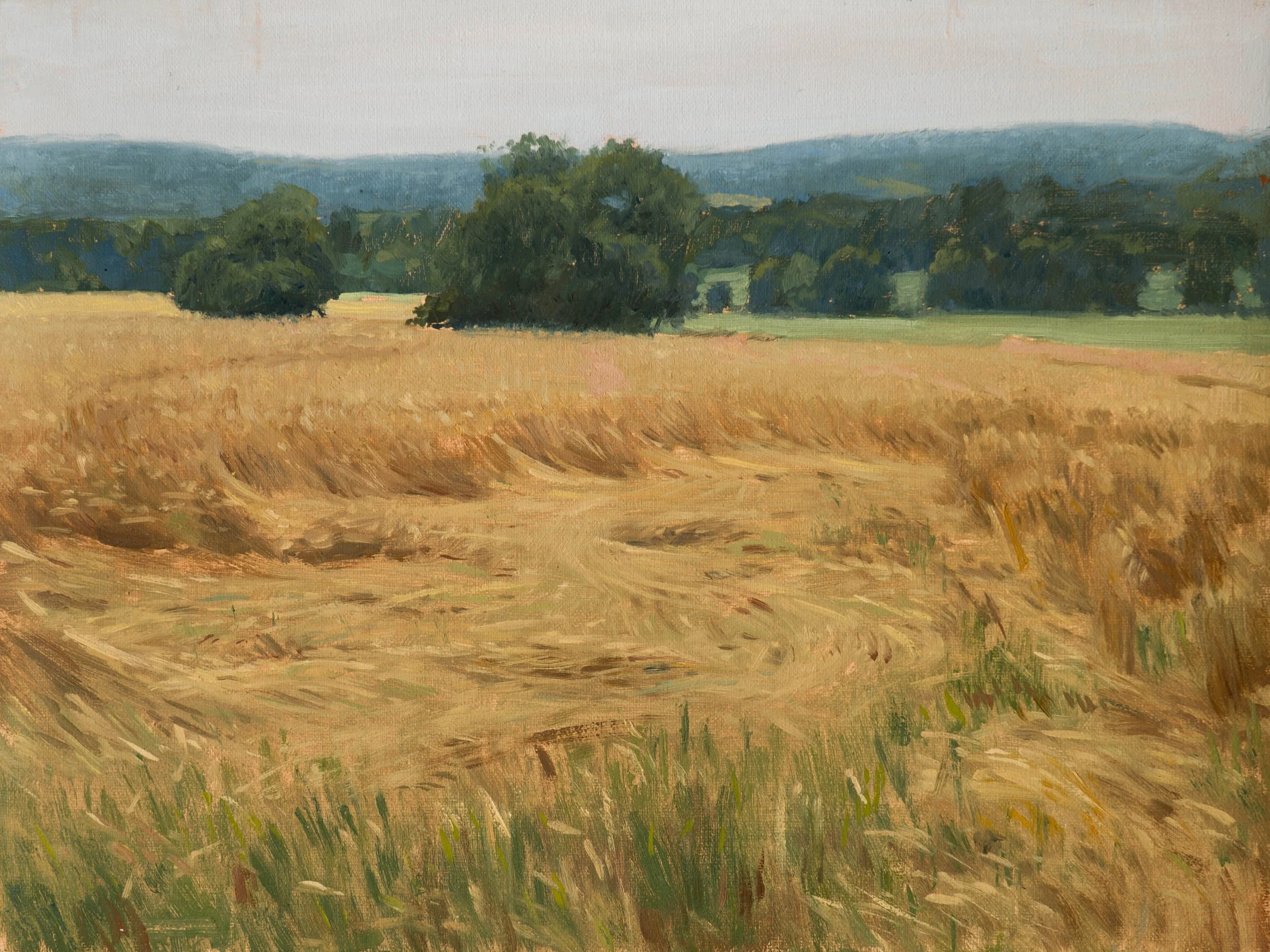 55.%20Lodged%20Wheat.jpg