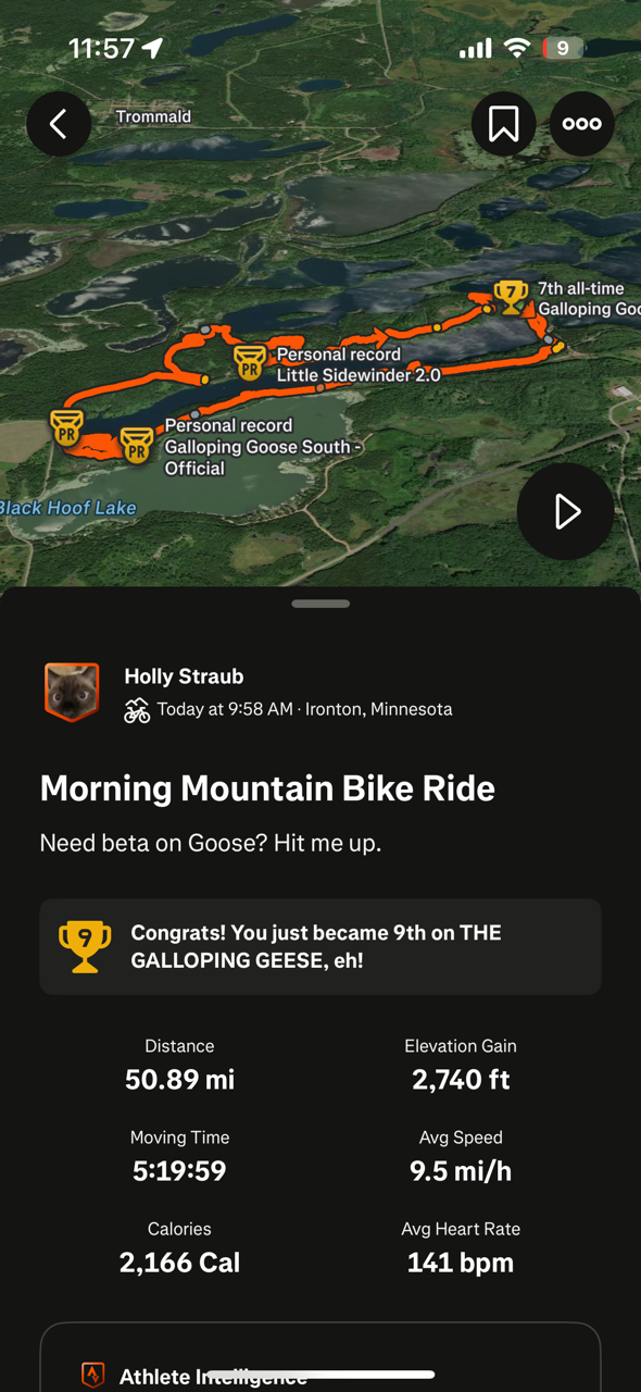 Holly Straub_10.18.png