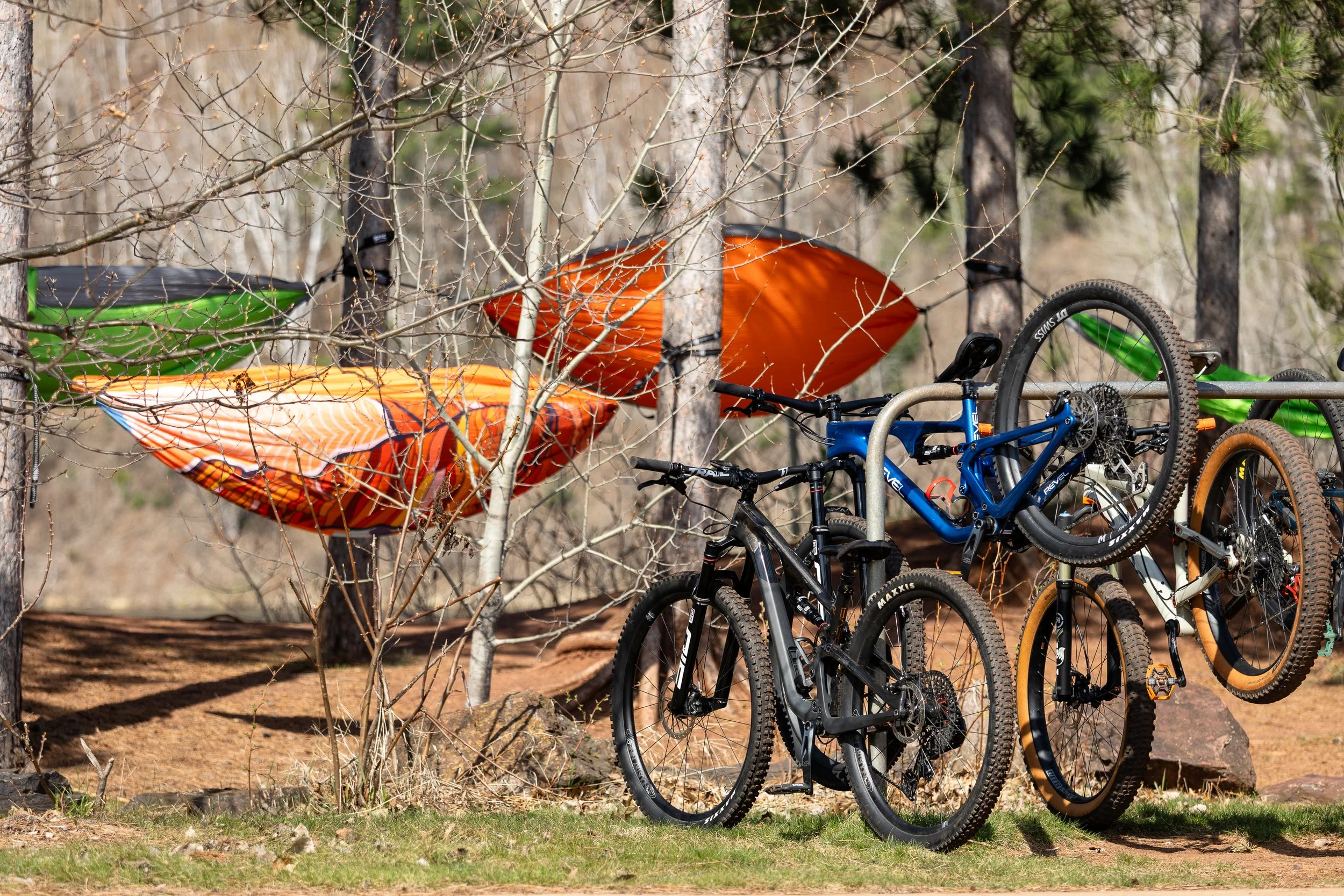 international-womens-mountain-bike-day_55244764018_o.jpg