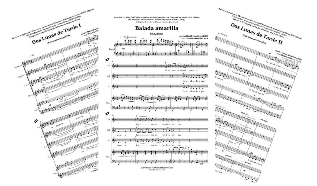 IX Amadeus contest.jpg