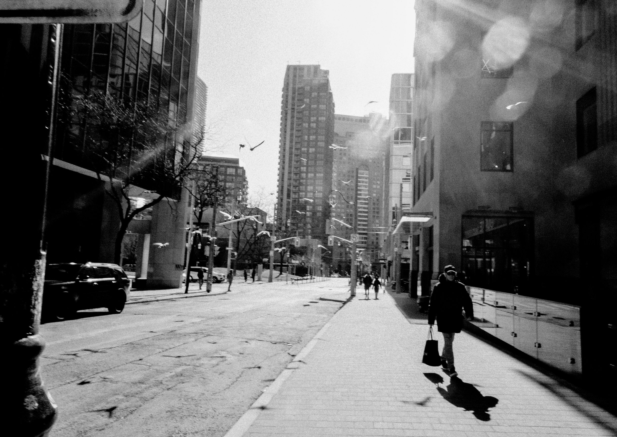 Recent Jonah Zgraggen