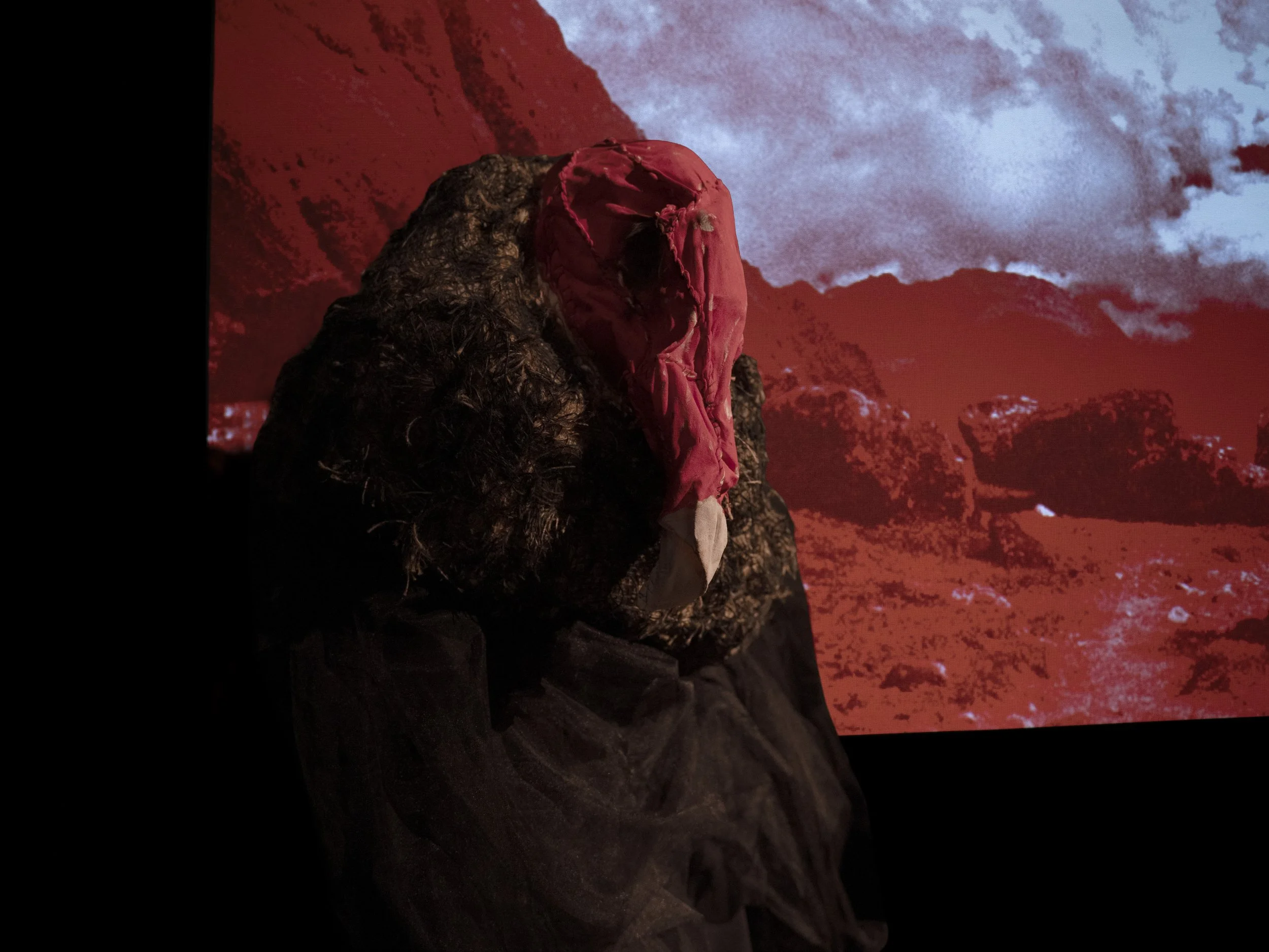 Vulture 2 Close up.jpg