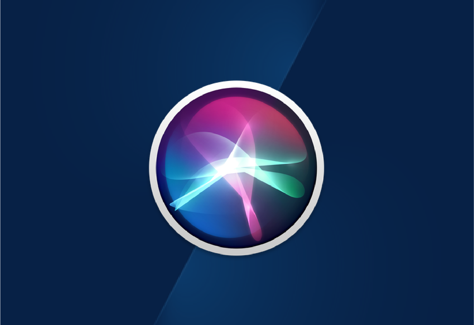 Siri Image-01.png
