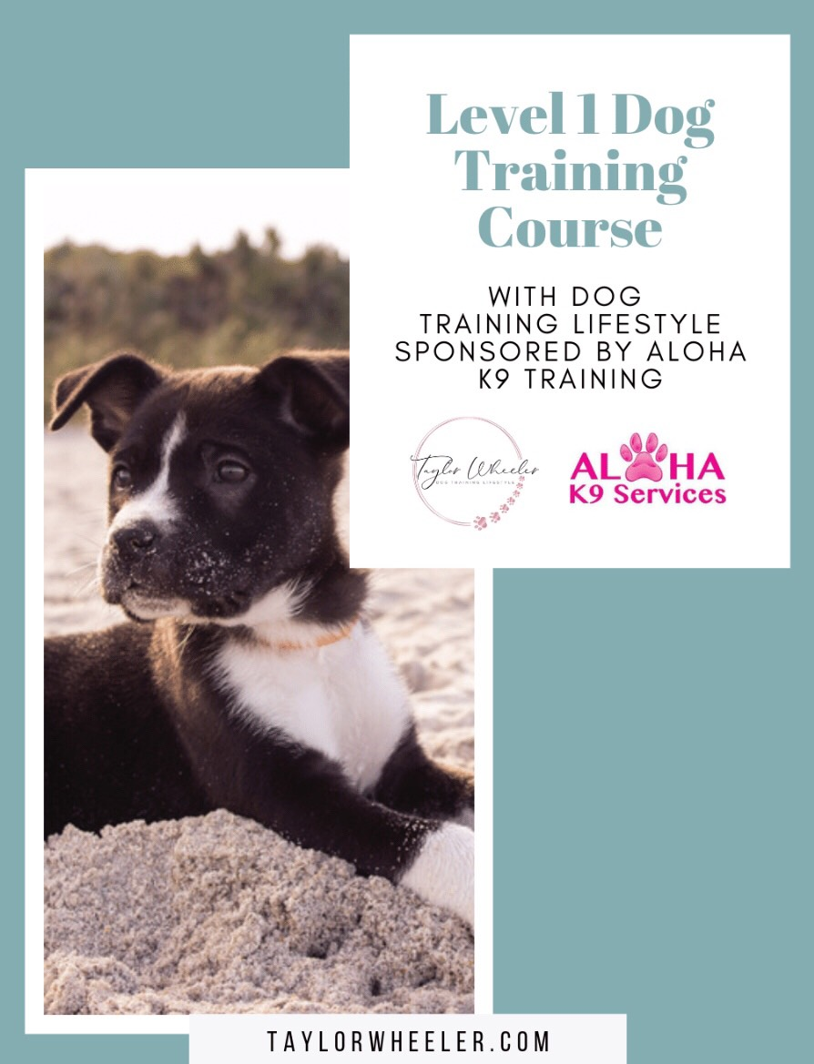 Level 1 Dog Training Online Course - SALE on Now — Pink Paw Program