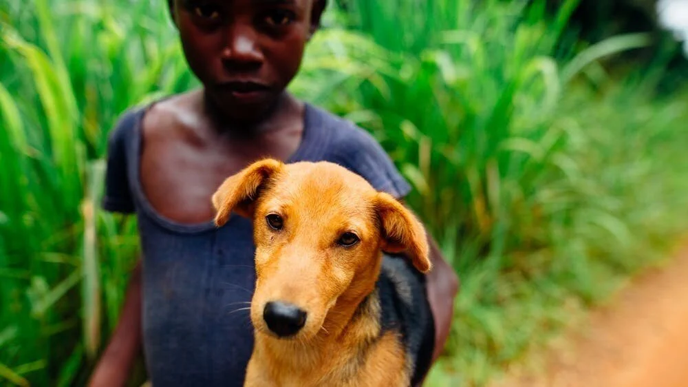 Every dog deserves a second chance. The Pink Paw Program can help that second chance happen..