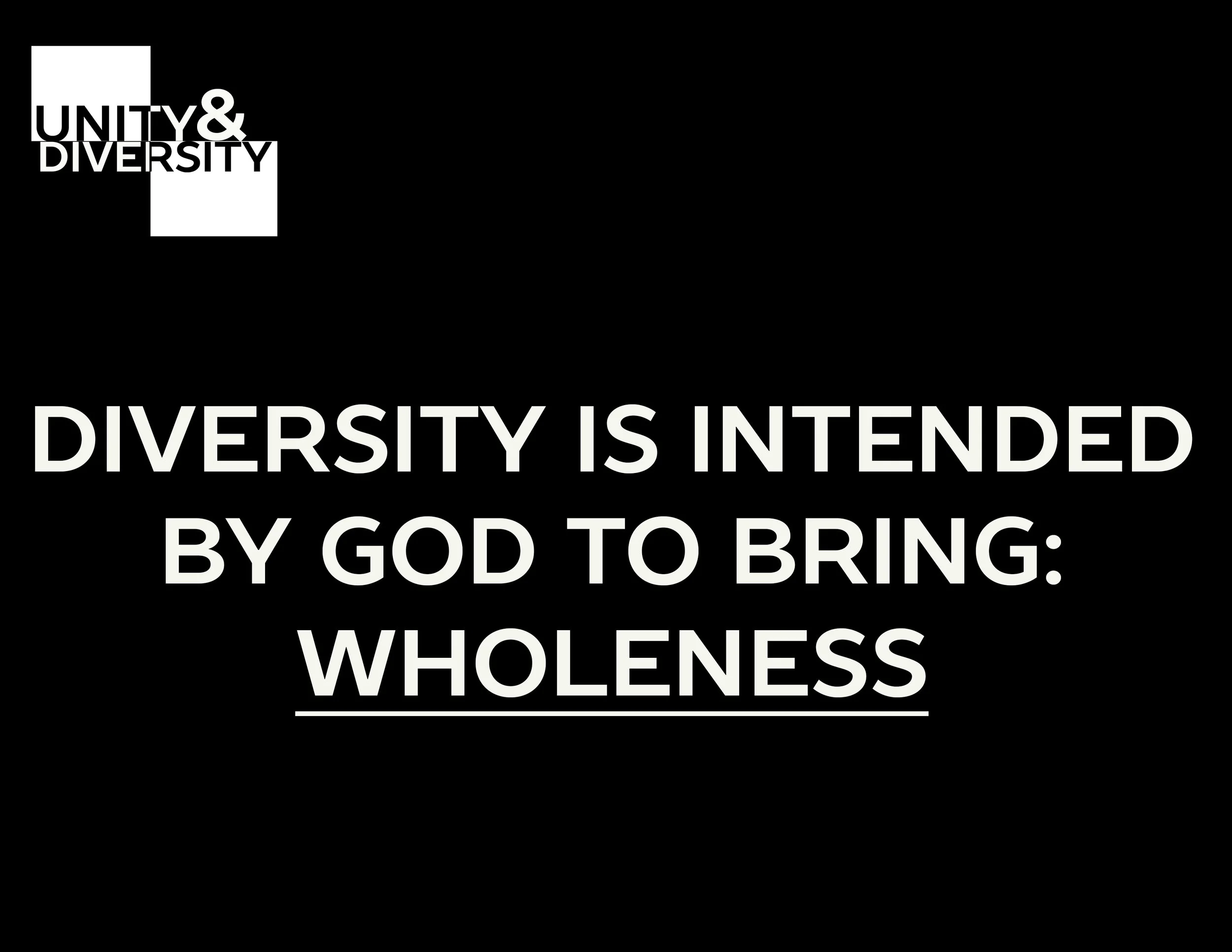 Unity&Diversity_5.jpg