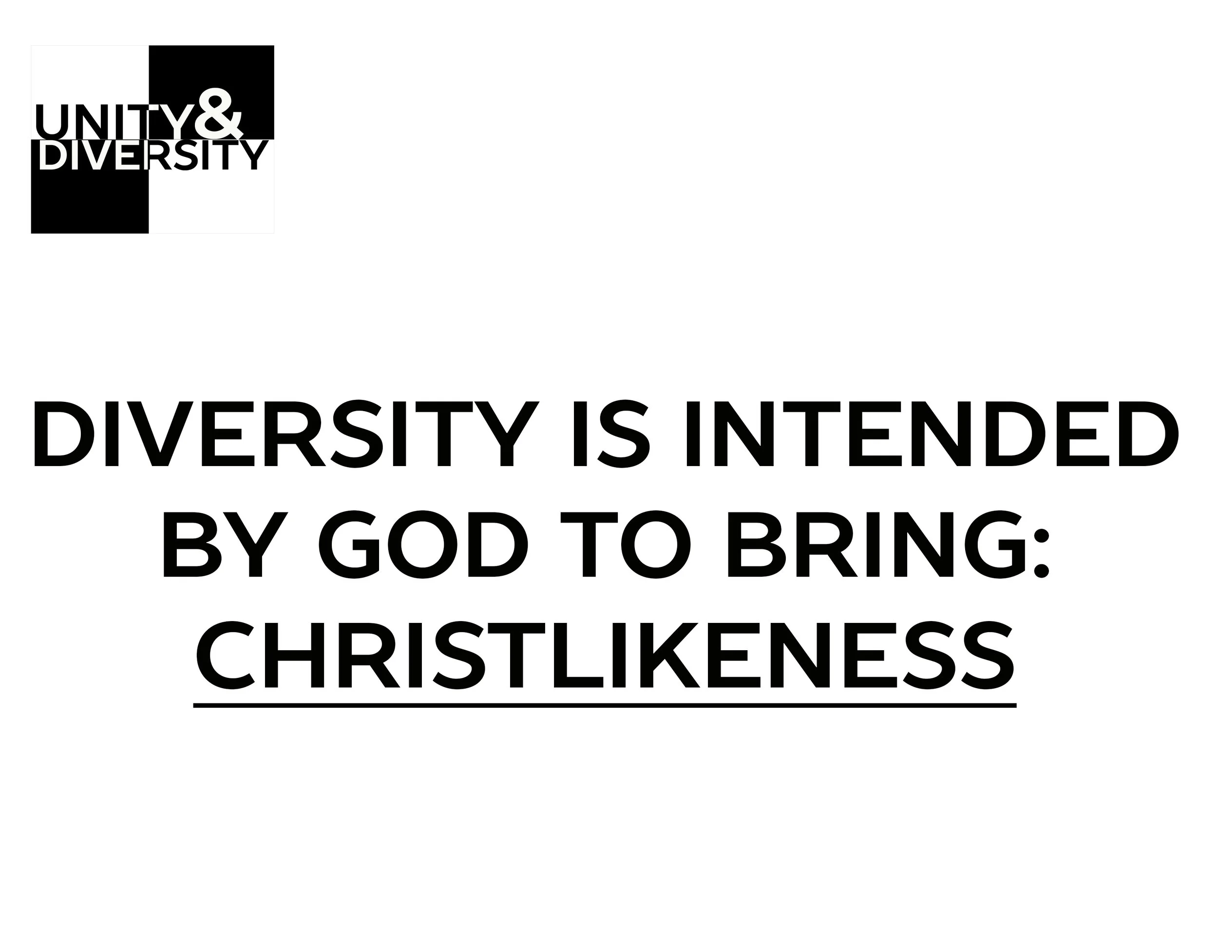 Unity&Diversity_6.jpg