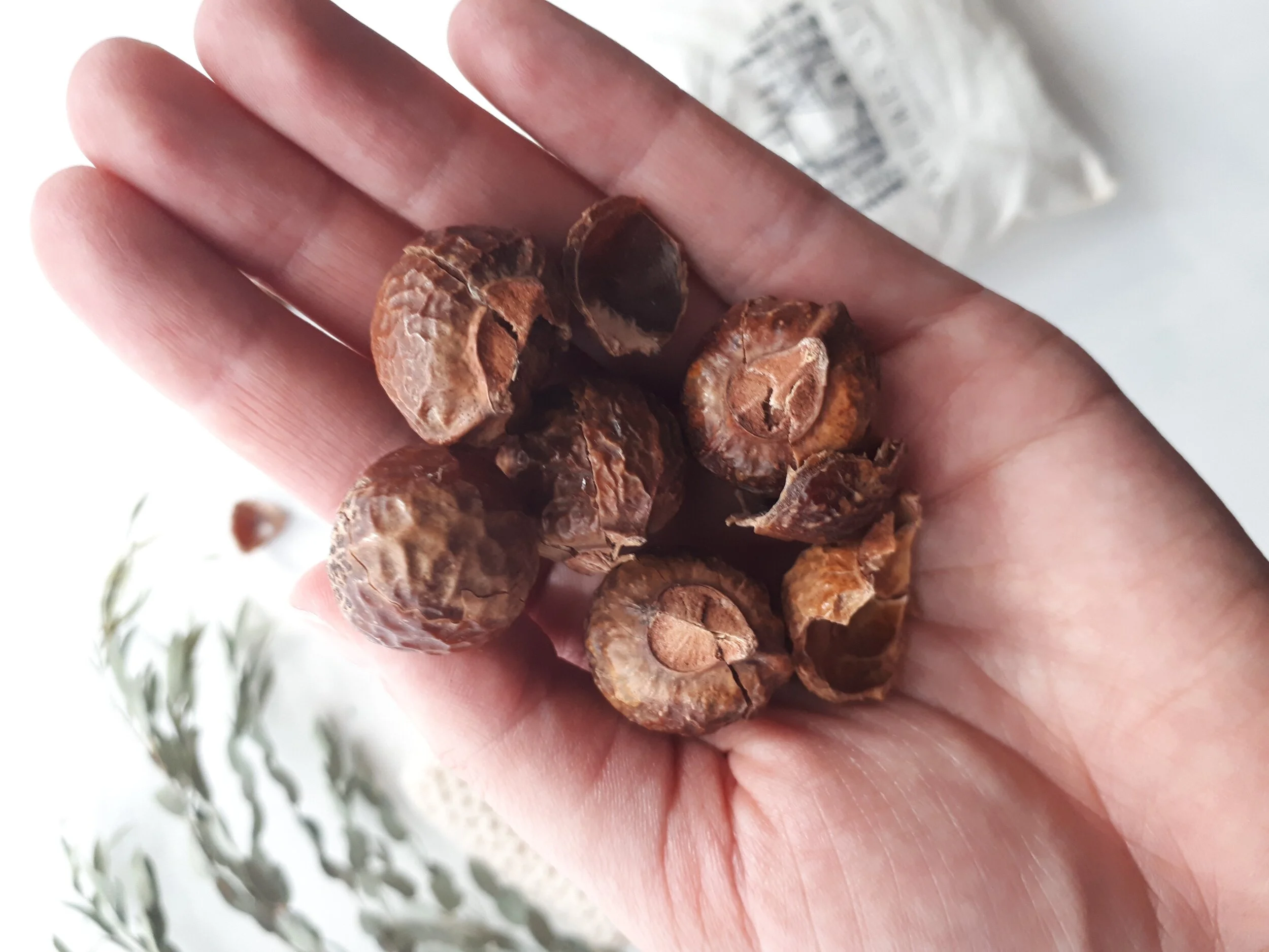 What the heck are soap nuts, and how do you use them?