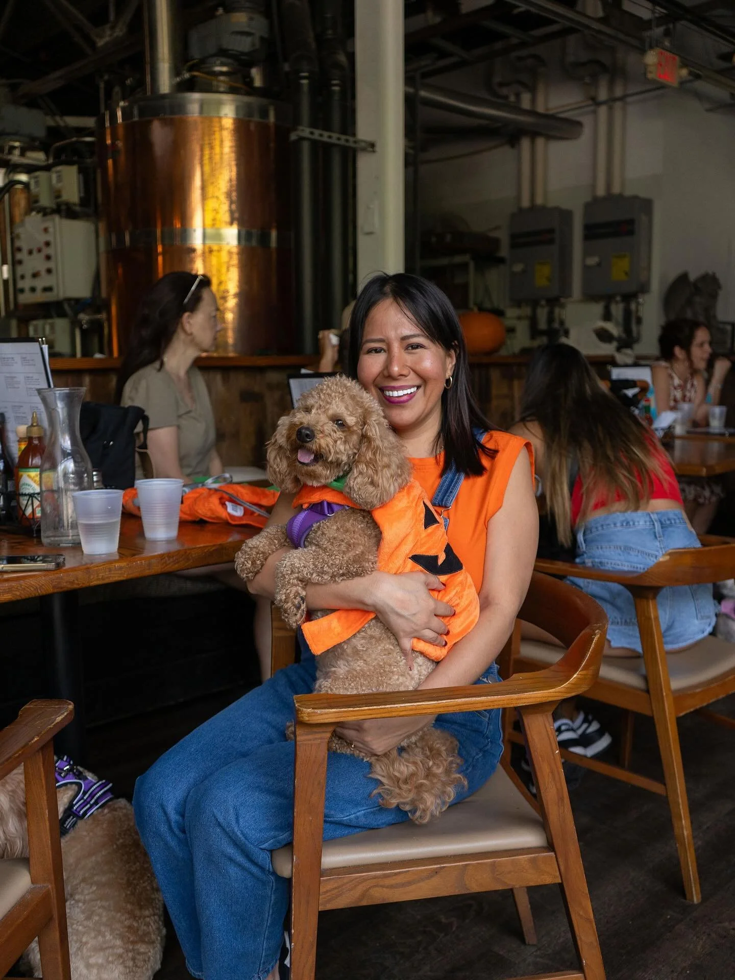 Calling all doggos! This one is for you, tell your parents about Flamingo Flea&rsquo;s Puppy Brunch this Sunday, October 12 12-4 pm at Tarpon River Brewing. 

Make sure to dress up for our Halloween costume! SWIPE for full details. 

PS Puppy Brunch 