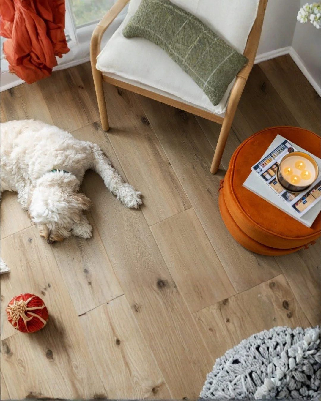 Flamingo Flea's Doggy Fest has all your needs from treats to chews and trainers to groomers but what about for your house too? Yes! We have that covered (pun 100% intended). Stop by Floor Coverings International's booth to learn about their Pet Perfe
